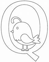 Quail Coloring Pages Aa Choose Board Letter sketch template