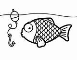 Fish Coloring Hook Tropical Dibujo Coloringcrew Take Related sketch template