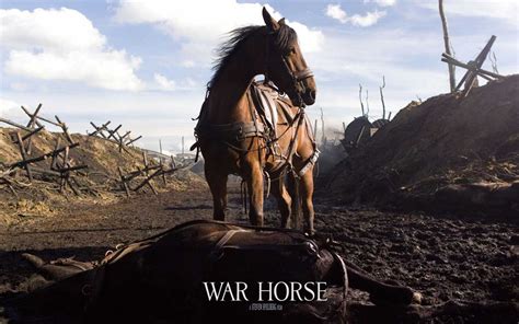 twistedwing    war horse