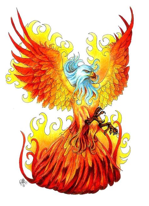 mind blowing phoenix bird art drawings   inspire