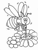 Coloring Bee Pages Honey Honeycomb Bumblebee Sheet Getcolorings Color Printable Getdrawings Colorings sketch template