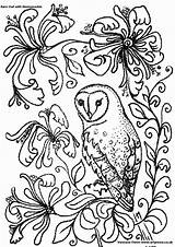 Owls Snowy Colouring Hibou Coloriages Coloringhome sketch template