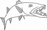 Barracuda Dangerous Fishes Tocolor sketch template