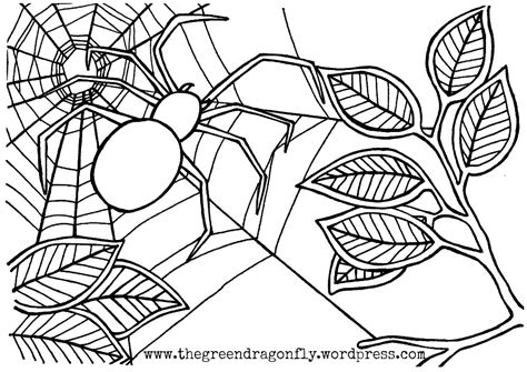 spider coloring pages    print