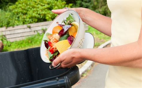 stop wasting food