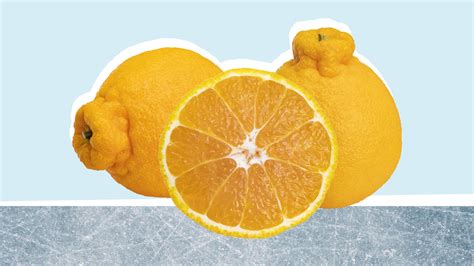 sumo orange calories  nutrition