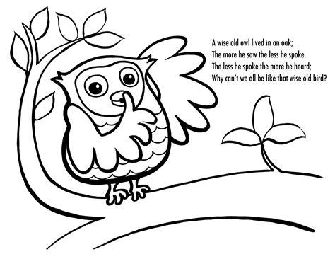 printable owl coloring pages  kids