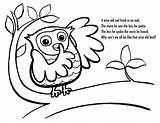 Owl Coloring Color Pages sketch template