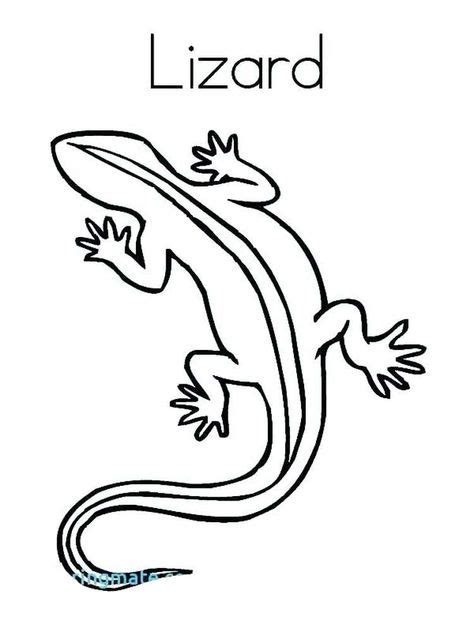 cute lizard    images  coloring pages lizard cute