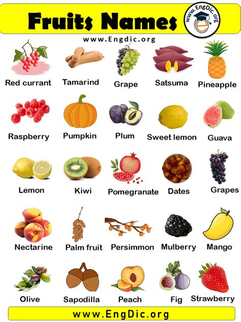 fruits   pictures fruits  list fruits   edible