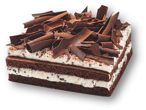 chocolade taart bestellen bij coop zachte chocolade cake gevuld met straciatella bavaroise en