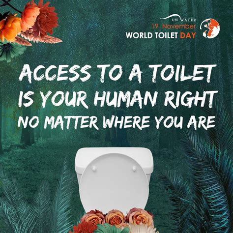 accessible toilets are a human right if global