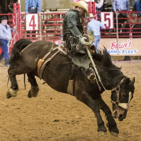 prca rodeo midwest horse fair