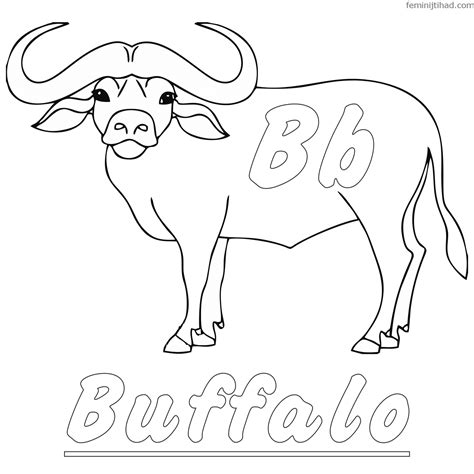 printable buffalo coloring pages coloring pages