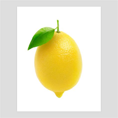 lemon art print  hands design  humans