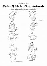 Match Worksheets Color Printable Coloring Matching Worksheet Choose Board Animal sketch template