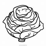 Repollo Repolho Colorir Cabbage Dibujar Colorironline Ultracoloringpages sketch template