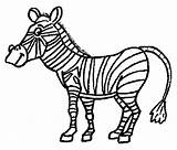 Zebra Cebra Cebras Zebre Colorat Zebras Planse Colorindo Desene Simpatica Kolorowanki Animali Zebry Clipartmag Malvorlage 2548 Divierten Aprenden Juegan sketch template