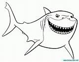 Nemo Coloring Finding Bruce Pages Shark Cartoon Clipart Disney Printable Dory Colouring Google Colorear Para Tiburon ぬりえ Sheets Buscando Outline sketch template