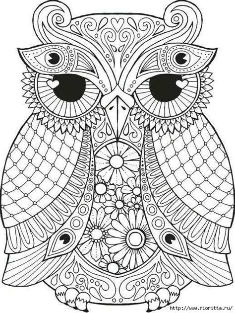 coloring pages  grown ups owl coloring pages colouring pics
