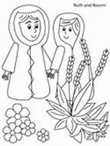 Naomi Rut Testament Bibel Orpah Wheat Basteln Geschichten sketch template