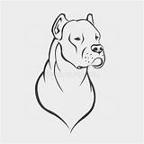 Dogo Argentino sketch template