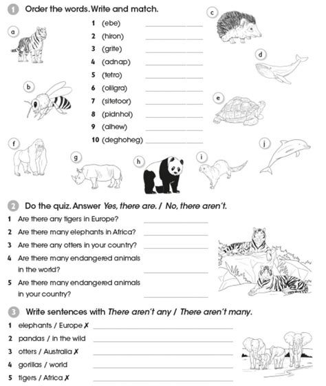 animals interactive worksheet
