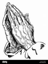 Praying Hands Vector Albrecht Durer Alamy Inspired Illustration sketch template