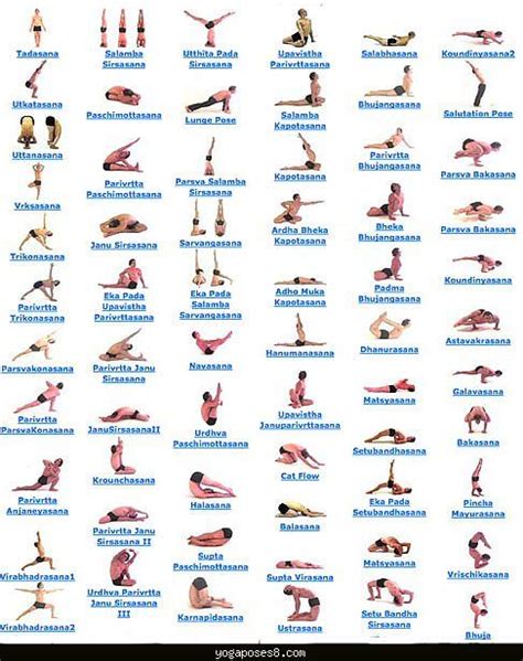 Yoga Poses And Benefits ® Yoga Asanas Names Hatha