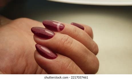 cat nail spa   royalty  licensable stock  shutterstock