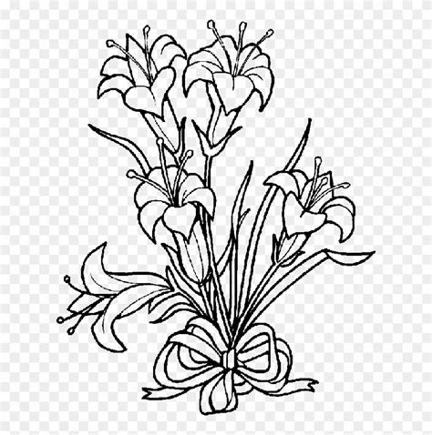 lily clipart black  white easter lily coloring pages png