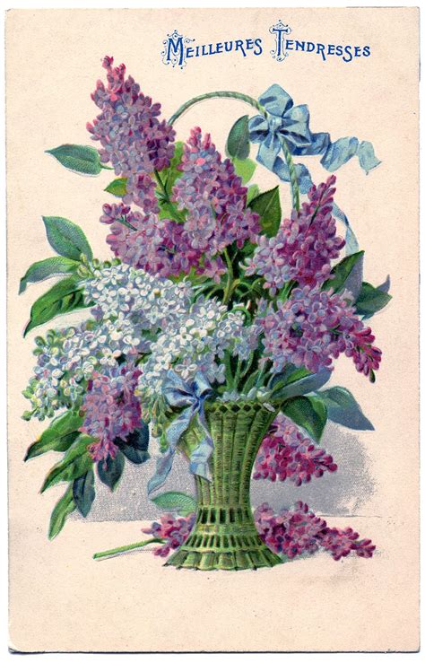 Antique Graphic Beautiful Basket Of Lilacs The