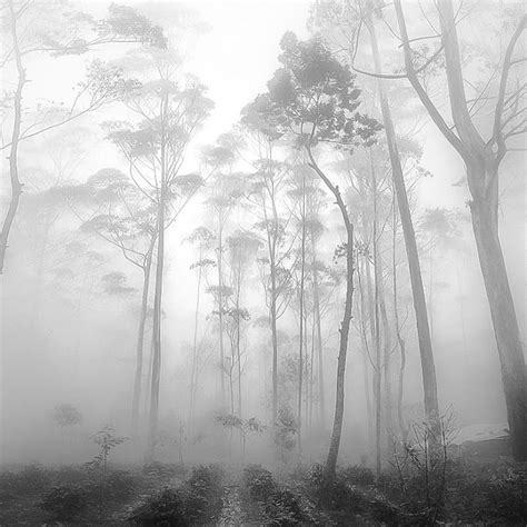 pin  kenzie lapraim  blackwhite photography  landscape