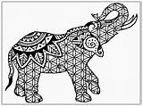 Elephant Adults Elephants Difficult Mandala Procoloring sketch template