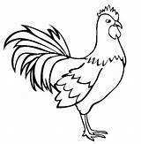 Rooster sketch template