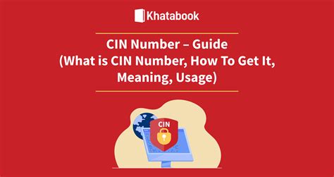 cin number   cin number meaning full form     usage