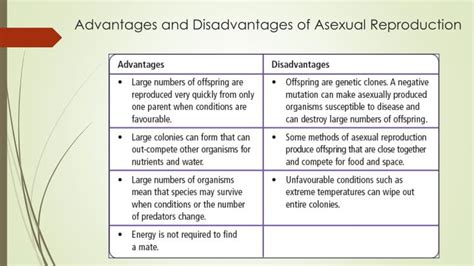 ppt advantages and disadvantages of asexual reproduction