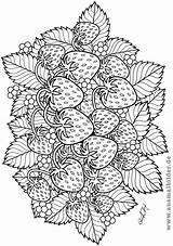 Erdbeeren Flower Malvorlagen Filipa Ana sketch template