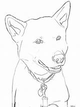 Doge Drawing Getdrawings sketch template