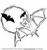 Pages Bat Coloring Realistic Getcolorings sketch template