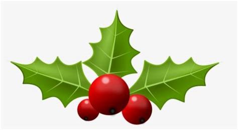 top  imagen transparent background holly clipart thpthoanghoatham