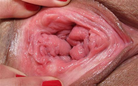 long clitoris pussy lips porn archive