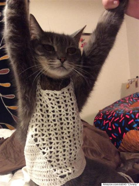 mom dresses cat in crochet bra top to prove one size does not fit all