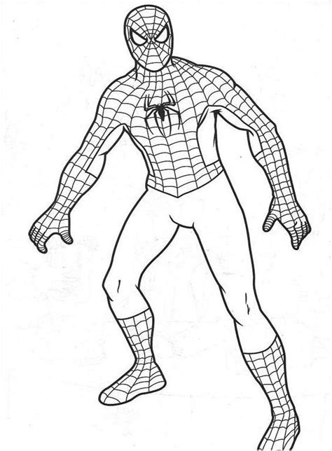 homem aranha  colorir  spiderman coloring super coloring pages