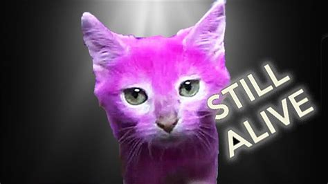 meow pink cat alien cat robo cat mutant cat   cats