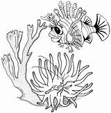 Coloring Lionfish Beautiful Stunning Cartoon Pages sketch template