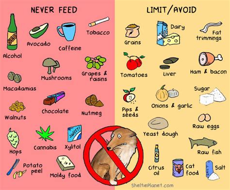 foods   harmful  dogs