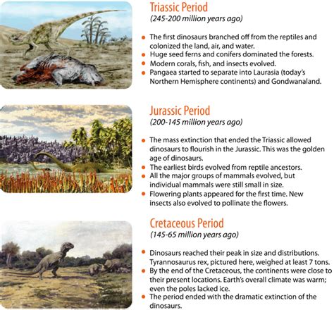 5 8 mesozoic era the age of dinosaurs biology libretexts