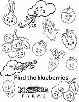 Colouring Blueberry Sheets Tags sketch template