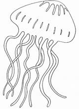 Jellyfish Qualle Stencils Ausdrucken Schablonen Malvorlage Malvorlagen Fensterbild Quallen Drus Fish Vorlagen Dinge Fisch Malen Keramik Inselschule Mrprintables sketch template